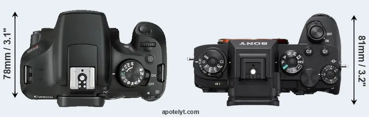 Compare T6 versus A1 top
