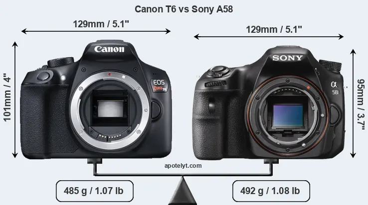 Size Canon T6 vs Sony A58