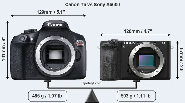 Size Canon T6 vs Sony A6600