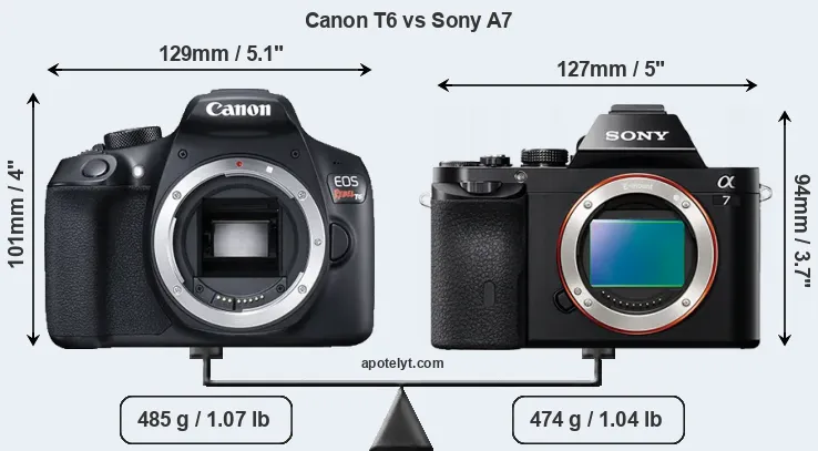 Size Canon T6 vs Sony A7