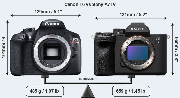 Size Canon T6 vs Sony A7 IV