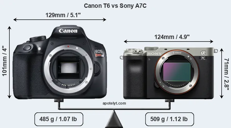 Size Canon T6 vs Sony A7C