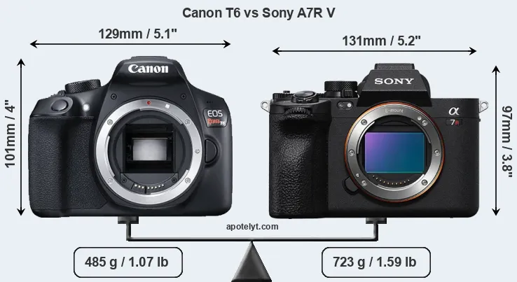 Size Canon T6 vs Sony A7R V