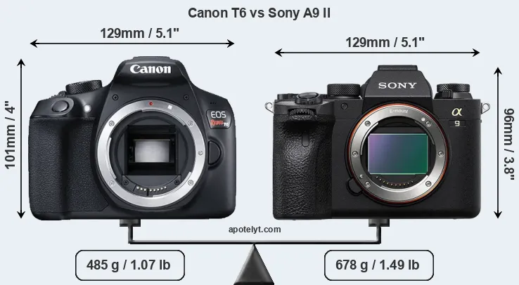 Size Canon T6 vs Sony A9 II
