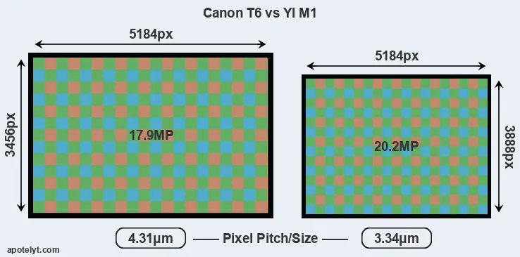 T6 versus M1 MP