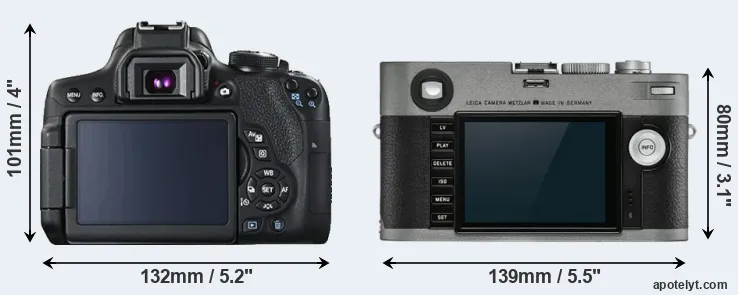 Comparison T6i or M-E Typ 240 rear