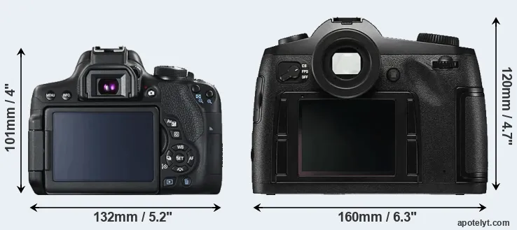 Comparison T6i or S Typ 006 rear