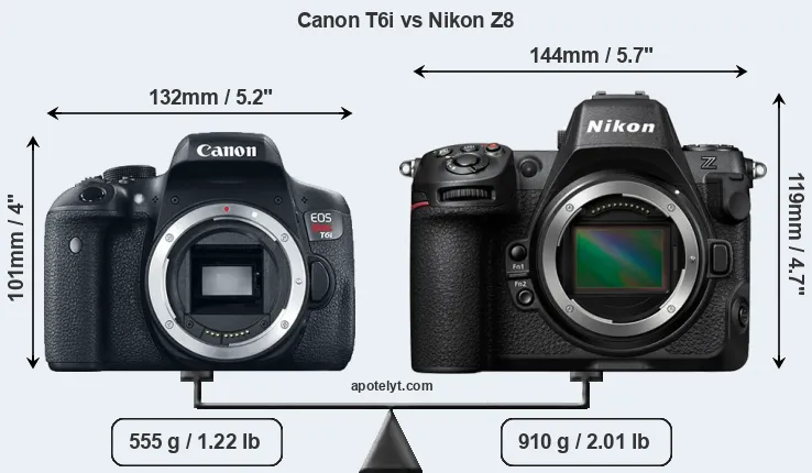 Size Canon T6i vs Nikon Z8
