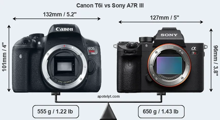 Size Canon T6i vs Sony A7R III