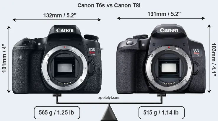 Size Canon T6s vs Canon T8i