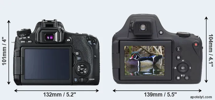 Comparison T6s or AZ901 rear