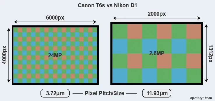 T6s versus D1 MP