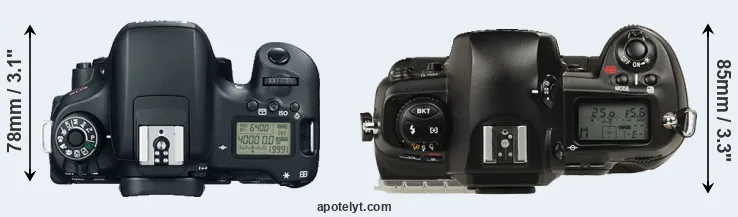 Compare T6s versus D1 top