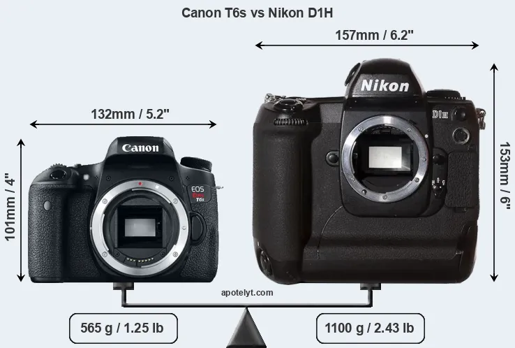 Size Canon T6s vs Nikon D1H