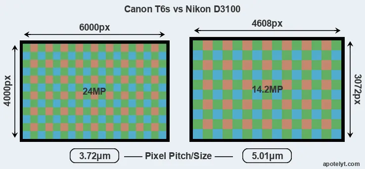 T6s versus D3100 MP