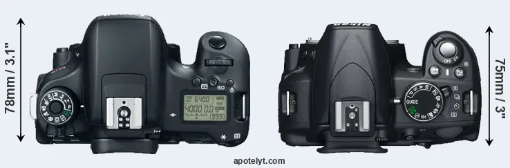 Compare T6s versus D3100 top