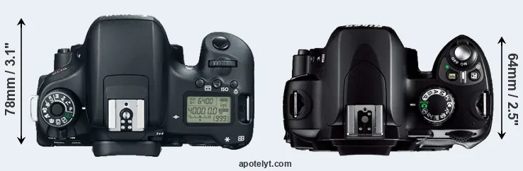 Compare T6s versus D40 top