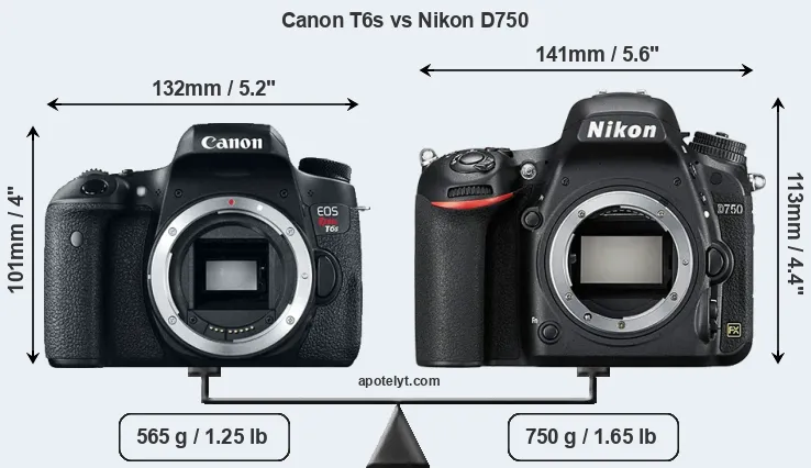 Size Canon T6s vs Nikon D750