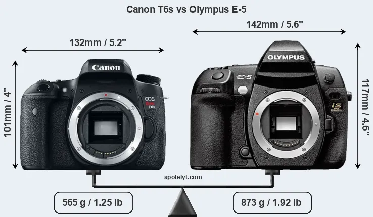 Size Canon T6s vs Olympus E-5