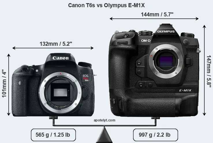 Size Canon T6s vs Olympus E-M1X
