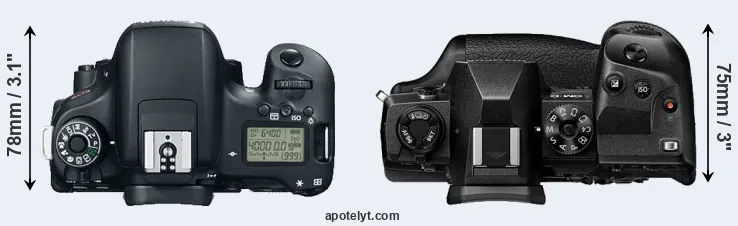 Compare T6s versus E-M1X top