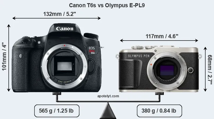 Size Canon T6s vs Olympus E-PL9