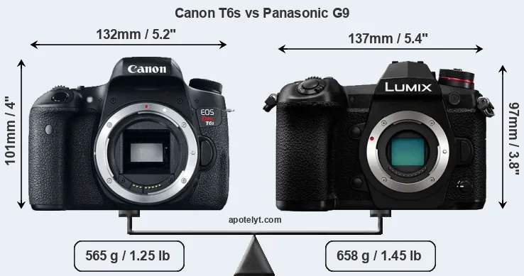 Size Canon T6s vs Panasonic G9