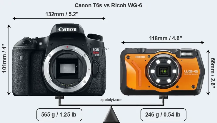 Size Canon T6s vs Ricoh WG-6
