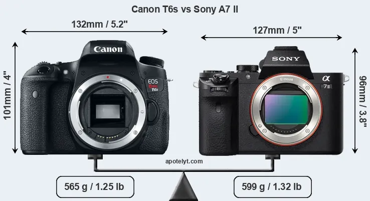 Size Canon T6s vs Sony A7 II
