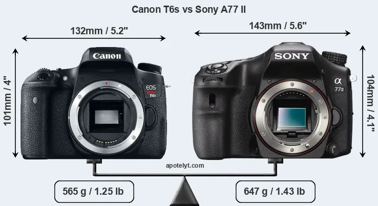 Size Canon T6s vs Sony A77 II