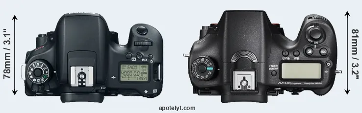 Compare T6s versus A77 II top
