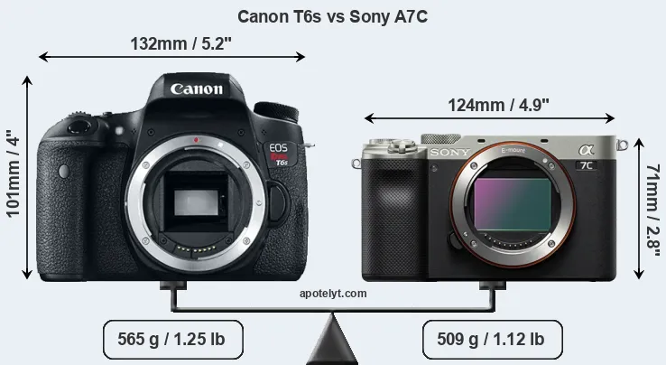 Size Canon T6s vs Sony A7C