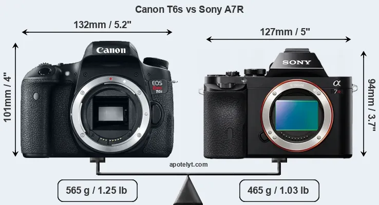 Size Canon T6s vs Sony A7R