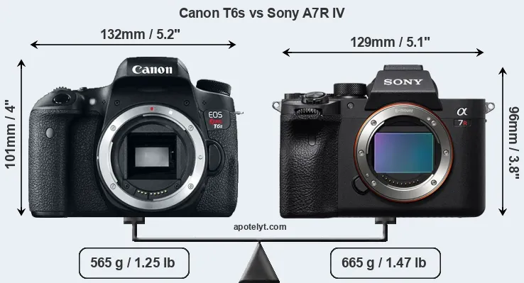 Size Canon T6s vs Sony A7R IV
