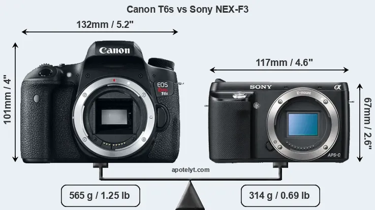 Size Canon T6s vs Sony NEX-F3