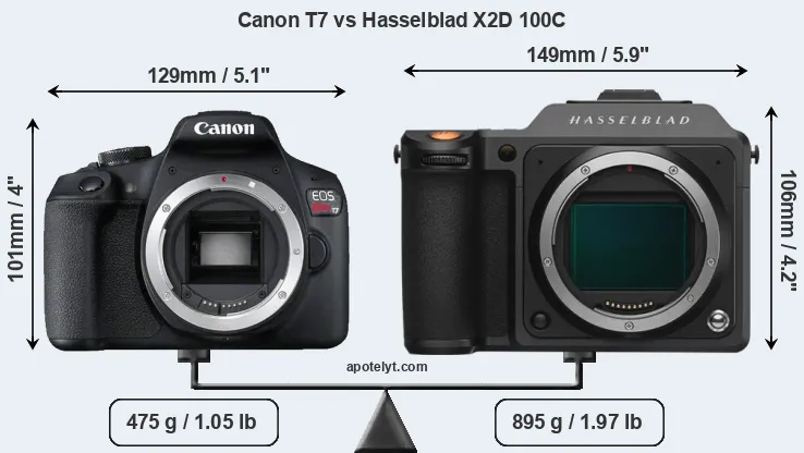 Size Canon T7 vs Hasselblad X2D 100C