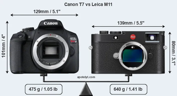 Size Canon T7 vs Leica M11