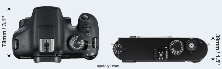 Compare T7 versus M11 top