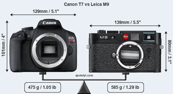Size Canon T7 vs Leica M9