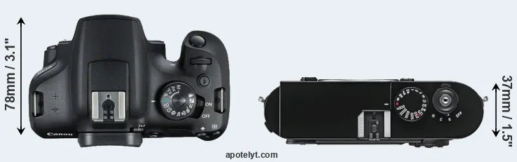 Compare T7 versus M9 top