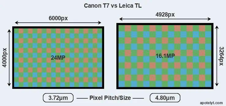 T7 versus TL MP
