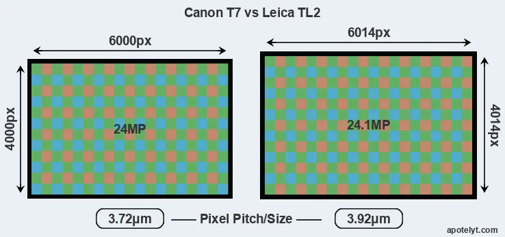 T7 versus TL2 MP