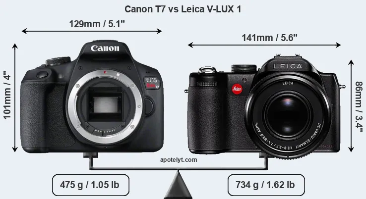 Size Canon T7 vs Leica V-LUX 1