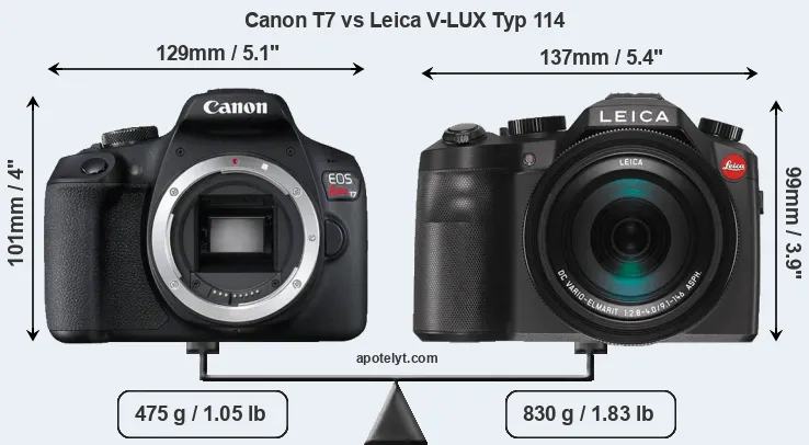 Size Canon T7 vs Leica V-LUX Typ 114