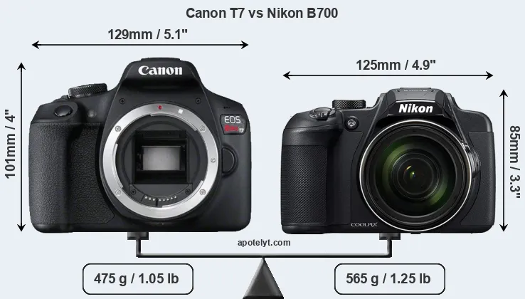 Size Canon T7 vs Nikon B700