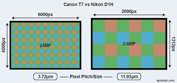 T7 versus D1H MP