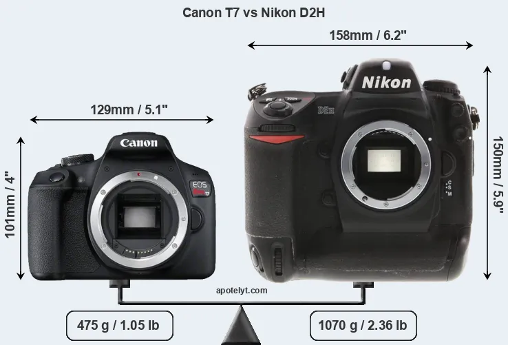 Size Canon T7 vs Nikon D2H