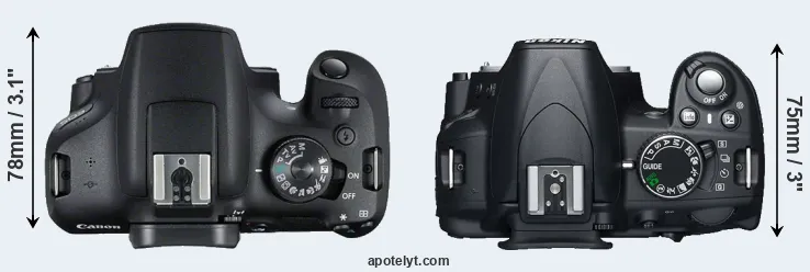 Compare T7 versus D3100 top