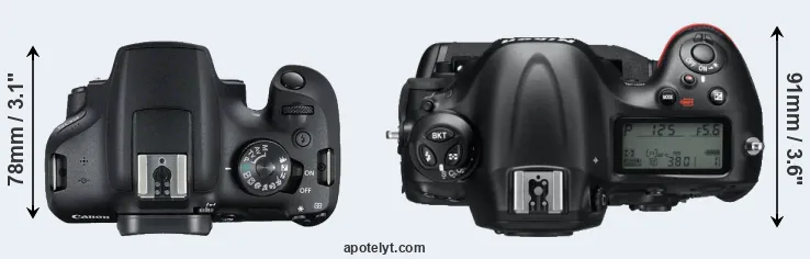 Compare T7 versus D4 top