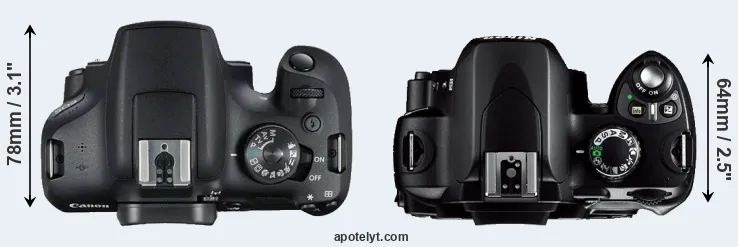 Compare T7 versus D40 top